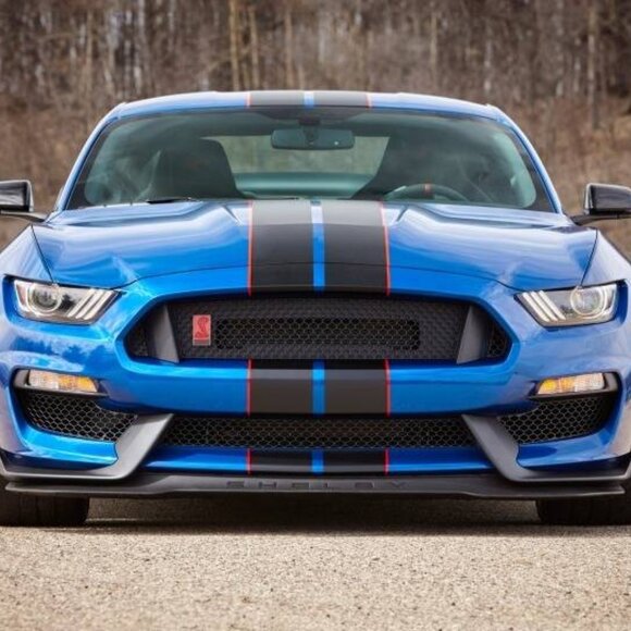 Meet your Posher, Rafael - Picture 1 of 1